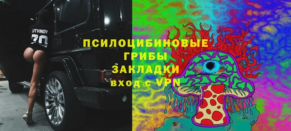 apvp Балахна