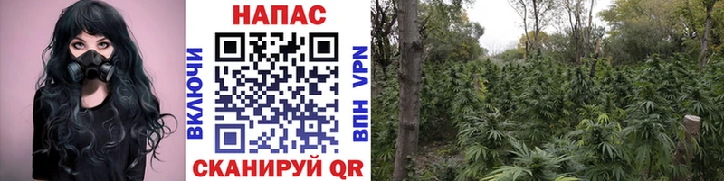 Бошки Шишки Bruce Banner Заозёрск